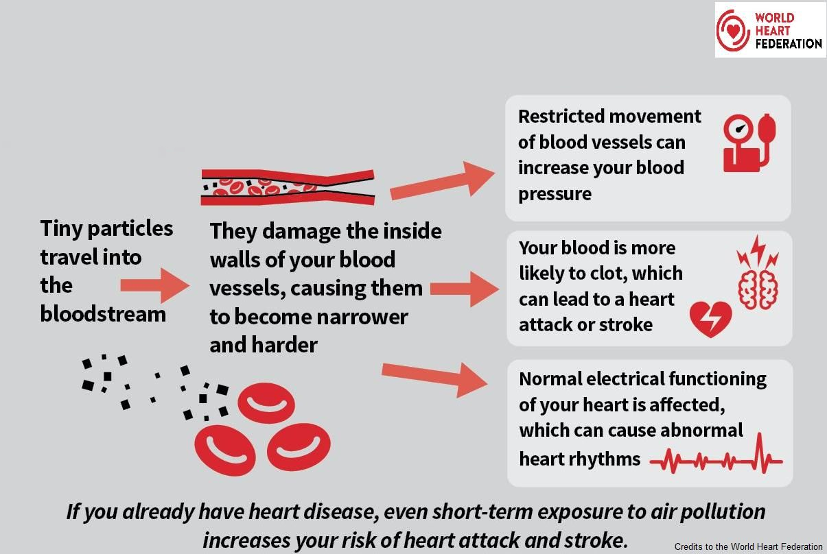 How Does Air Pollution Affect Your Heart? - La Prima Medicare